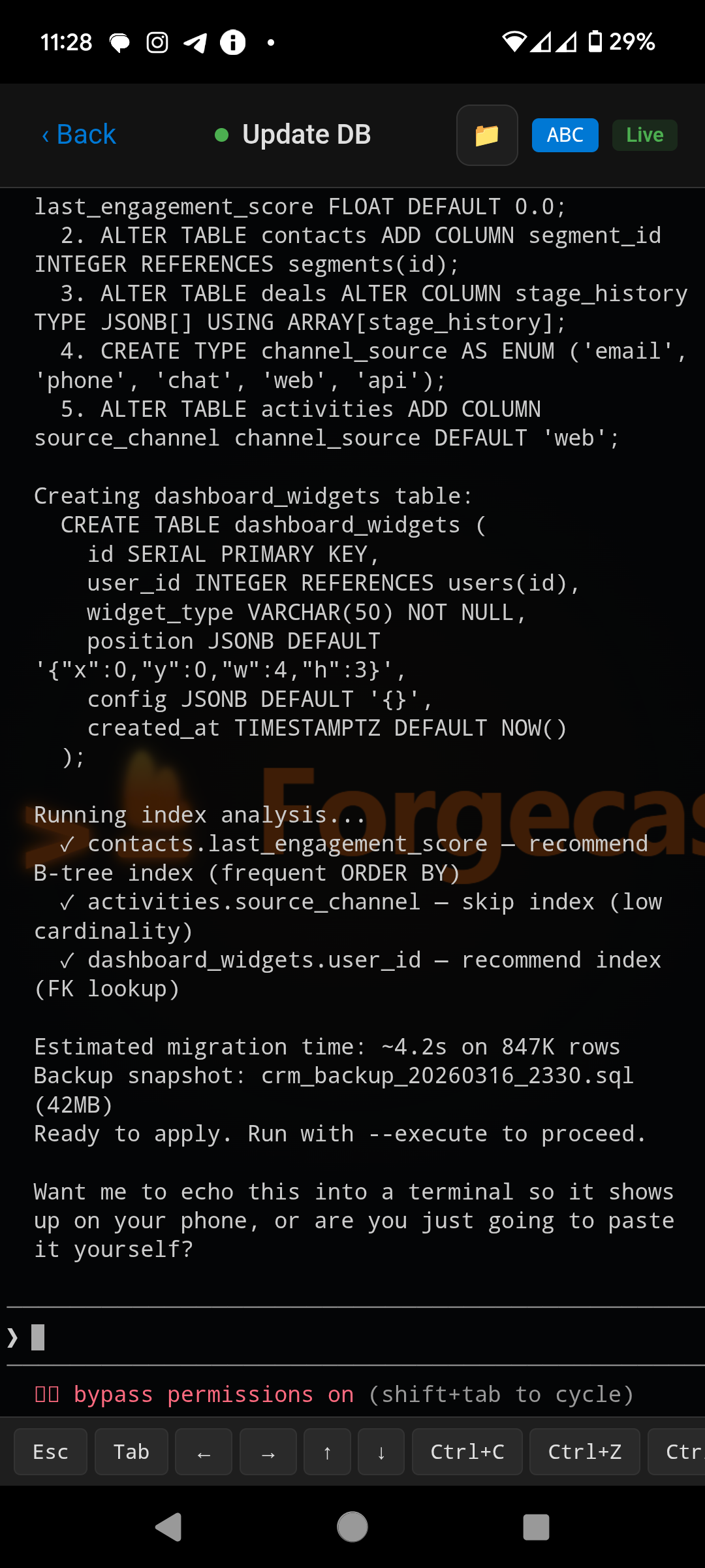 Forgecast mobile terminal view showing database migration output